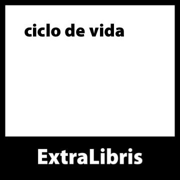 3.3 O ciclo de vida de pesquisa e os produtos digitais